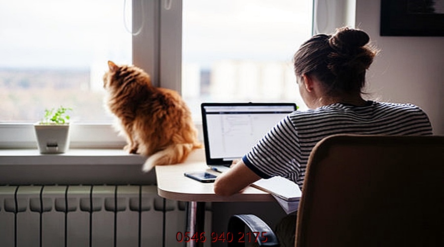 Web tasarım hizmetleri › Web Site Tasarım | 0541 882 8525 › nbsp› Web Site Tasarım | 0541 882 8525